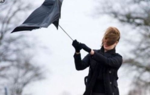 Вятър със скорост близо 100 км/ч на много места у нас